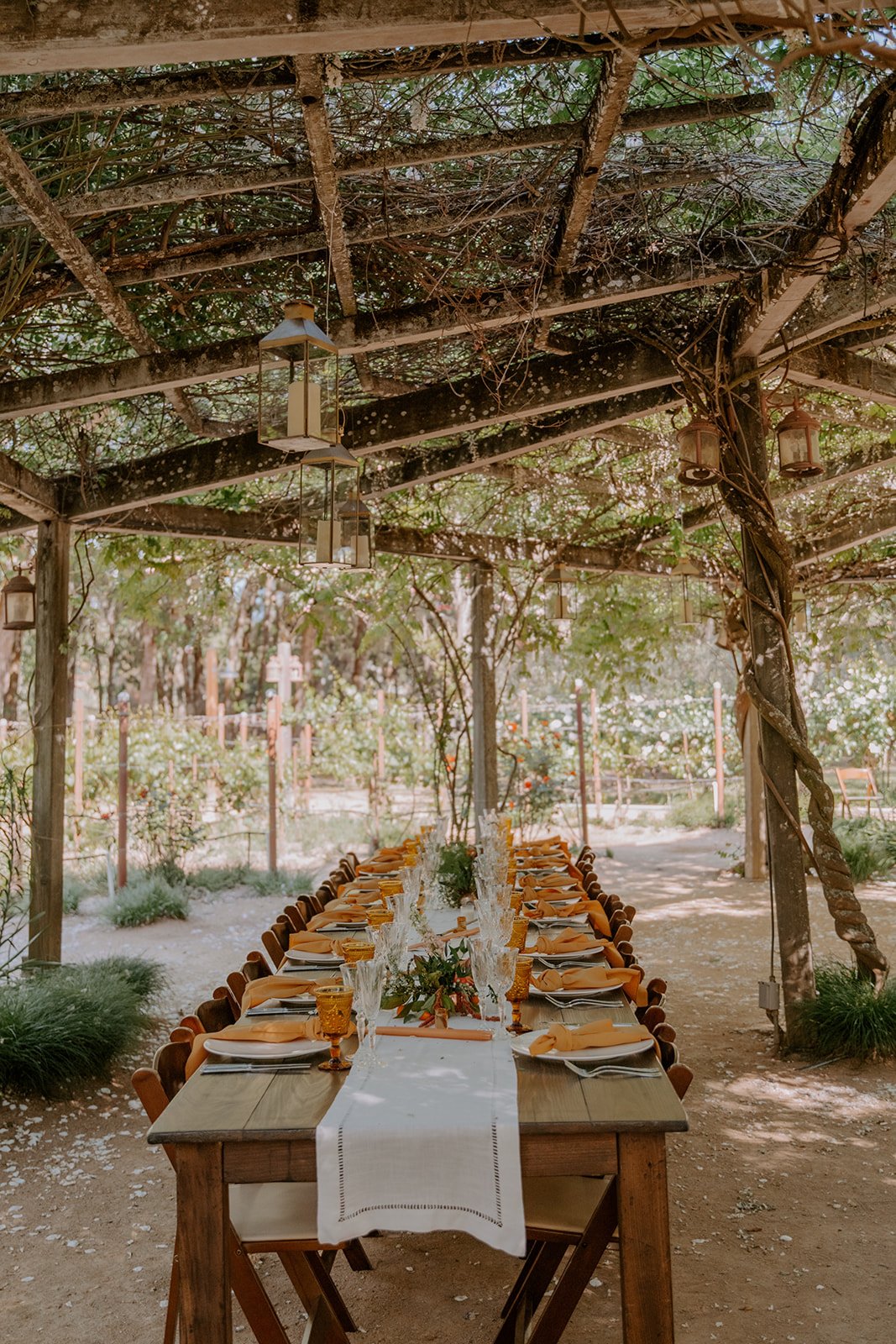 Beautiful Wedding at Campovida, Hopland, CA