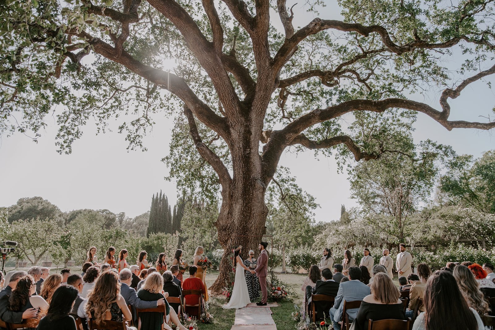 Beautiful Wedding at Campovida, Hopland, CA