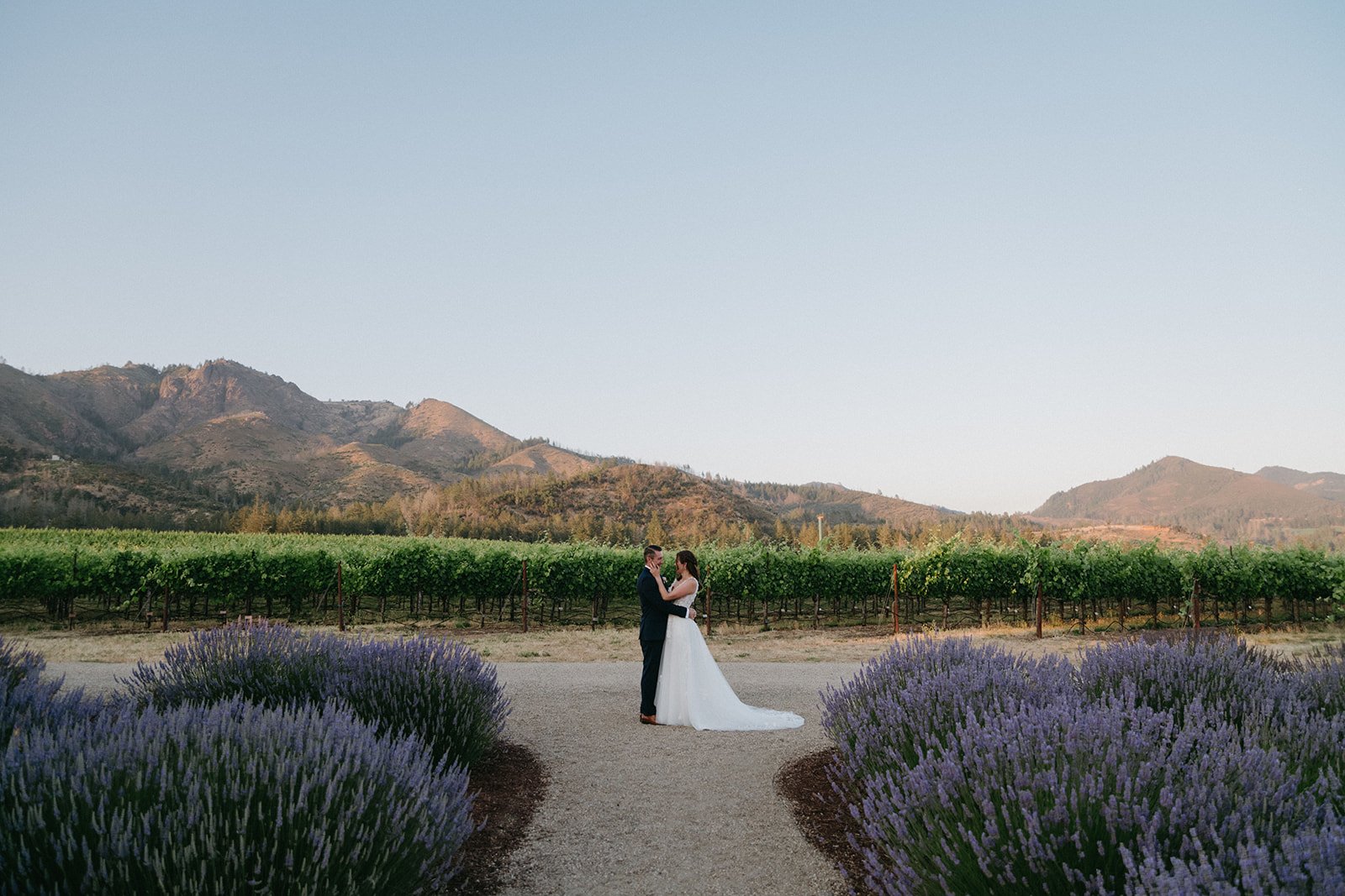 Best Wedding Venue for Your Elegant Wedding: St. Francis Winery