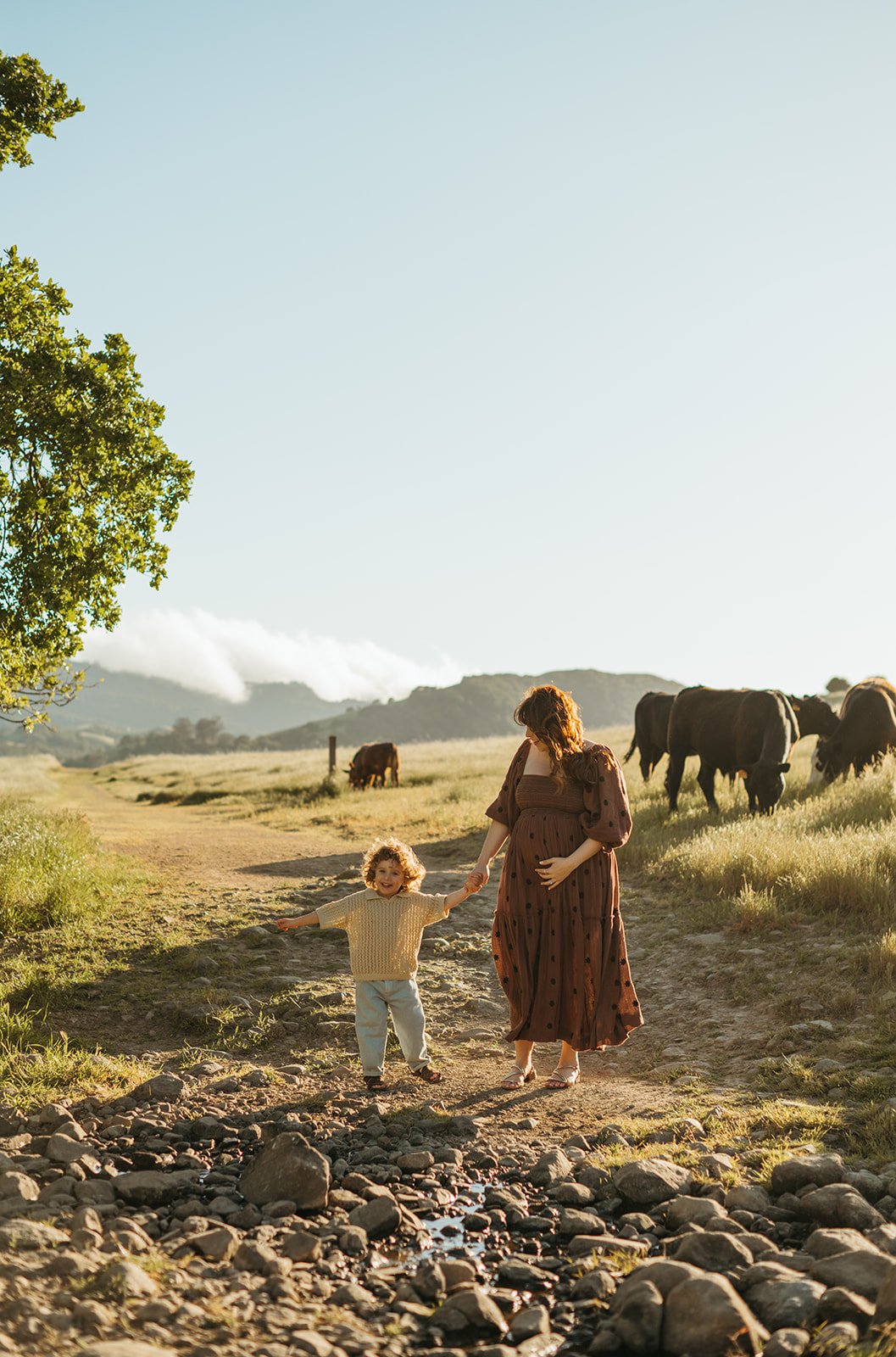 Outdoor Playful Maternity Session in Novato, CA